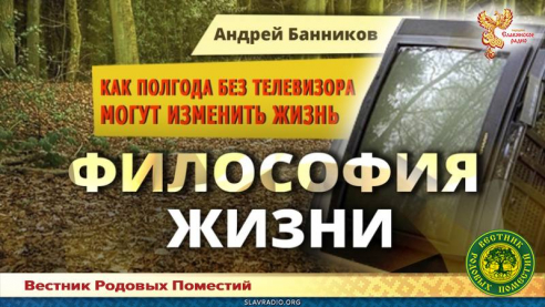 Как полгода без телевизора могут изменить жизнь