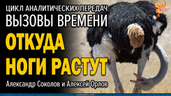 Почему и откуда ноги растут?