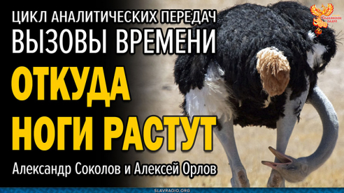 Почему и откуда ноги растут?