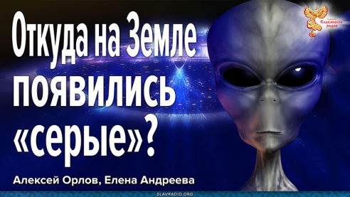 Откуда на Земле появились &laquo;серые&raquo;?
