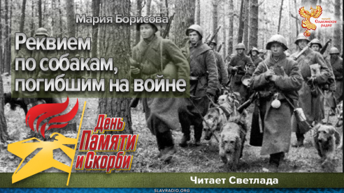 Реквием по собакам, погибшим на войне
