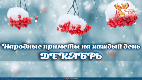 Народные приметы на каждый день. Декабрь