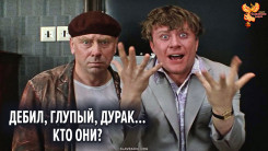 Дебил, глупый, дурак&hellip; кто они?