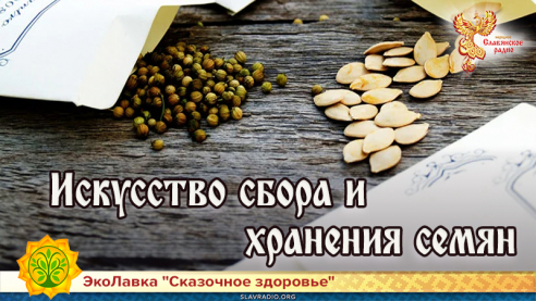 Искусство сбора и хранения семян