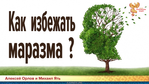 Как избежать маразма?