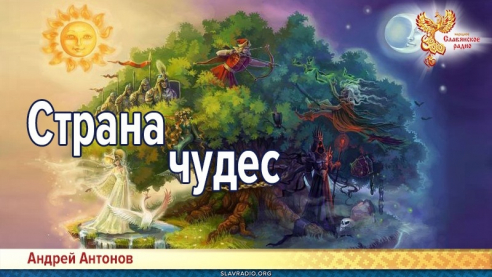 Страна чудес