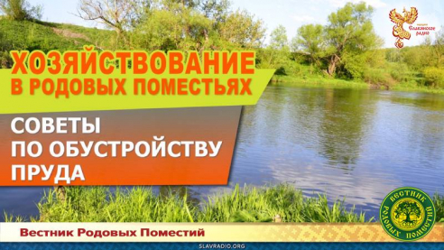 Советы по обустройству пруда