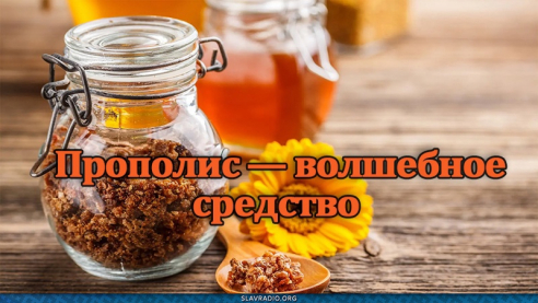 Профессор Неумывакин: прополис &mdash; волшебное средство